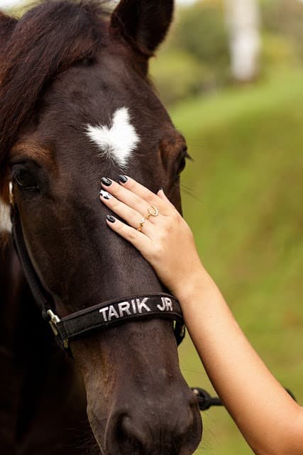 Tarik Jr Country Joias