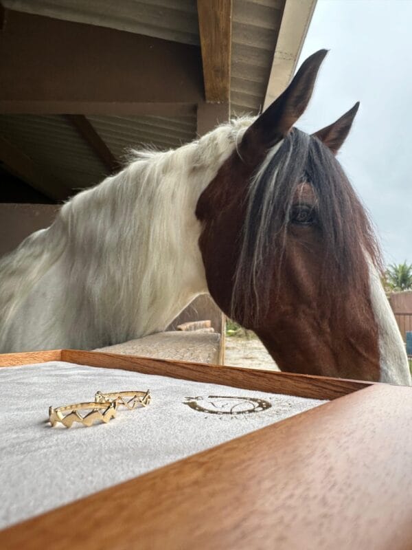 Anel Horse Maciço